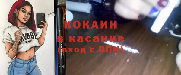 сатива Арсеньев