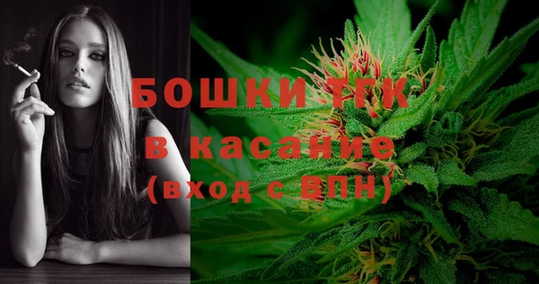 тгк Аркадак